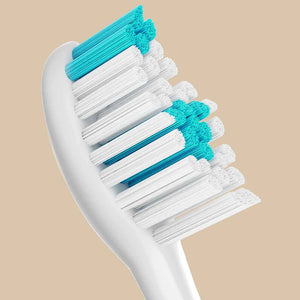JetWave Toothbrush Replacement Brush Heads