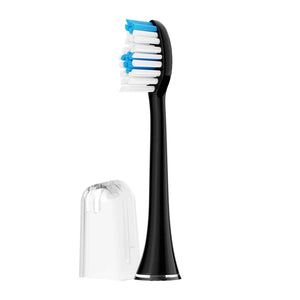 Premium Bristles Brush Head